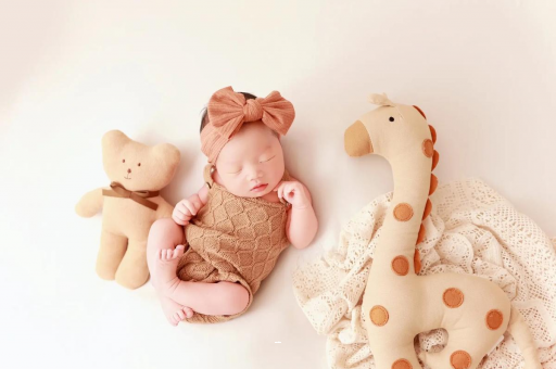 沙河宝宝虾的做法 沙河宝宝虾的做法