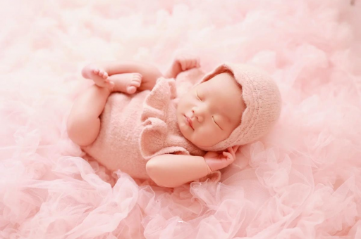 沙河8个月宝宝辅食